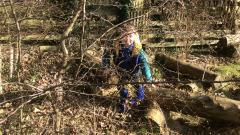 Forest School