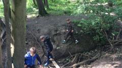 Wild explorers