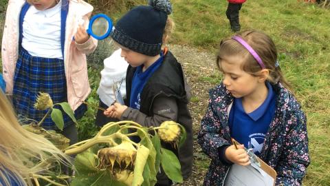 outdoor learning