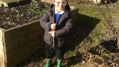 Forest schools