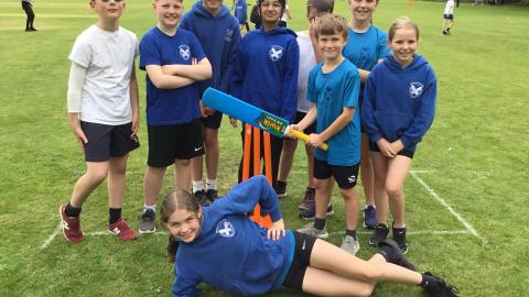 Cricket