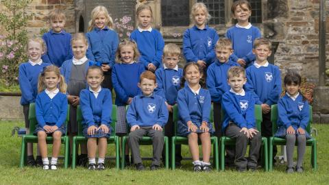 Swallows - Year 2