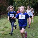 cross country