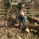 Forest School
