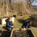 Forest School