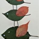 Leaves