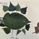 Leaves