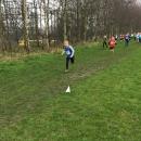 cross country