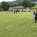 Cricket
